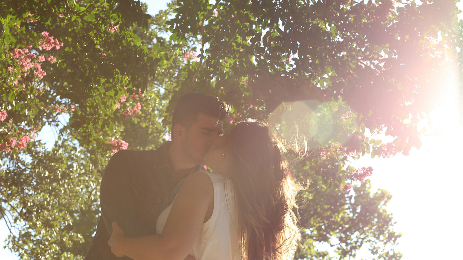 A couple embracing beneath a flowering tree in bright sunlight, the sun flaring behind them.